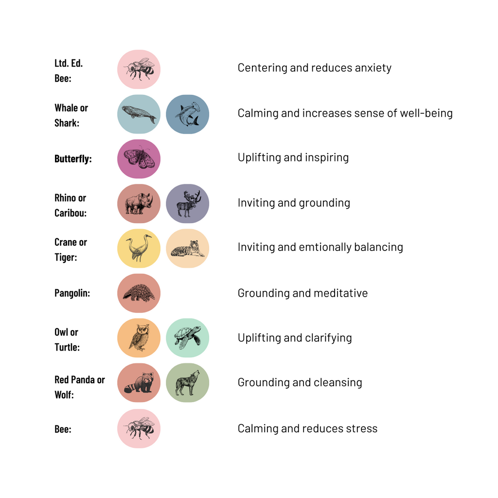 Our candle aromatherapy guide