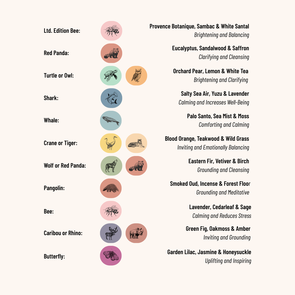 Our Original Scent Guide