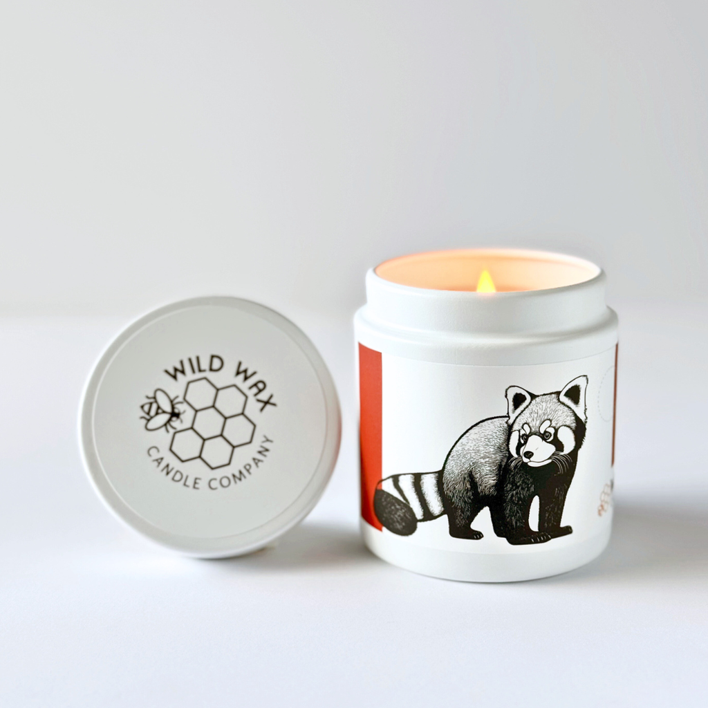 Hand-poured coconut wax candle scented with eastern fir featuring a red panda design
