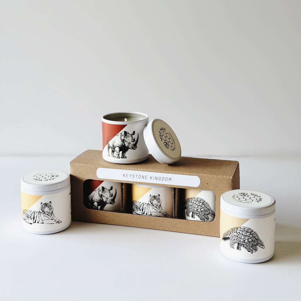 Set of three small candles with animal illustrations and a cardboard packaging box.