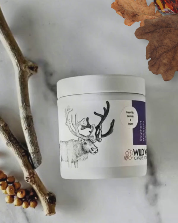 Stylized animation of caribou candle in bespoke green fig, oakmoss, and amber scent
