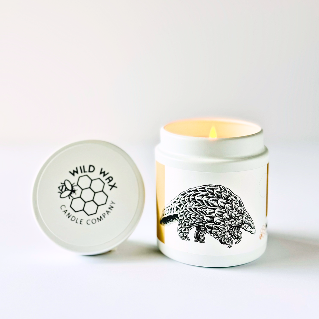 Hand-poured coconut wax candle featuring a pangolin design and branded wild wax candle company lid on white background 