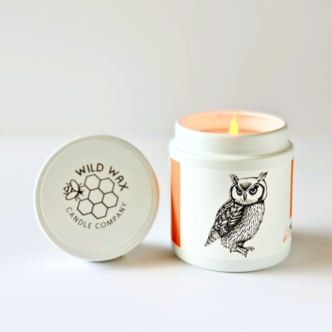 Hand-poured coconut wax candle featuring an owl design and orchard pear scent