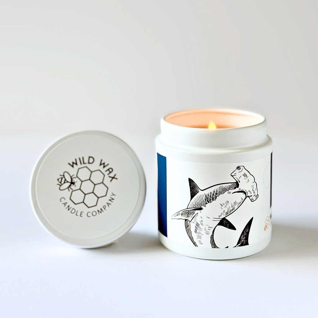 Candle with shark design and Wild Wax Candle Company branded lid on a white background