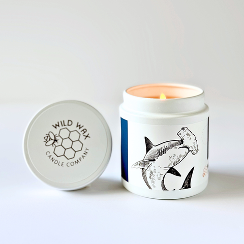 Candle with shark design and Wild Wax Candle Company branded lid on a white background