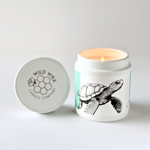 Hand-poured coconut wax candle scented with orchard pear featuring a turtle design