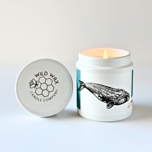 Wild Wax Candle Company candle featuring a whale design with branded lid on a light background