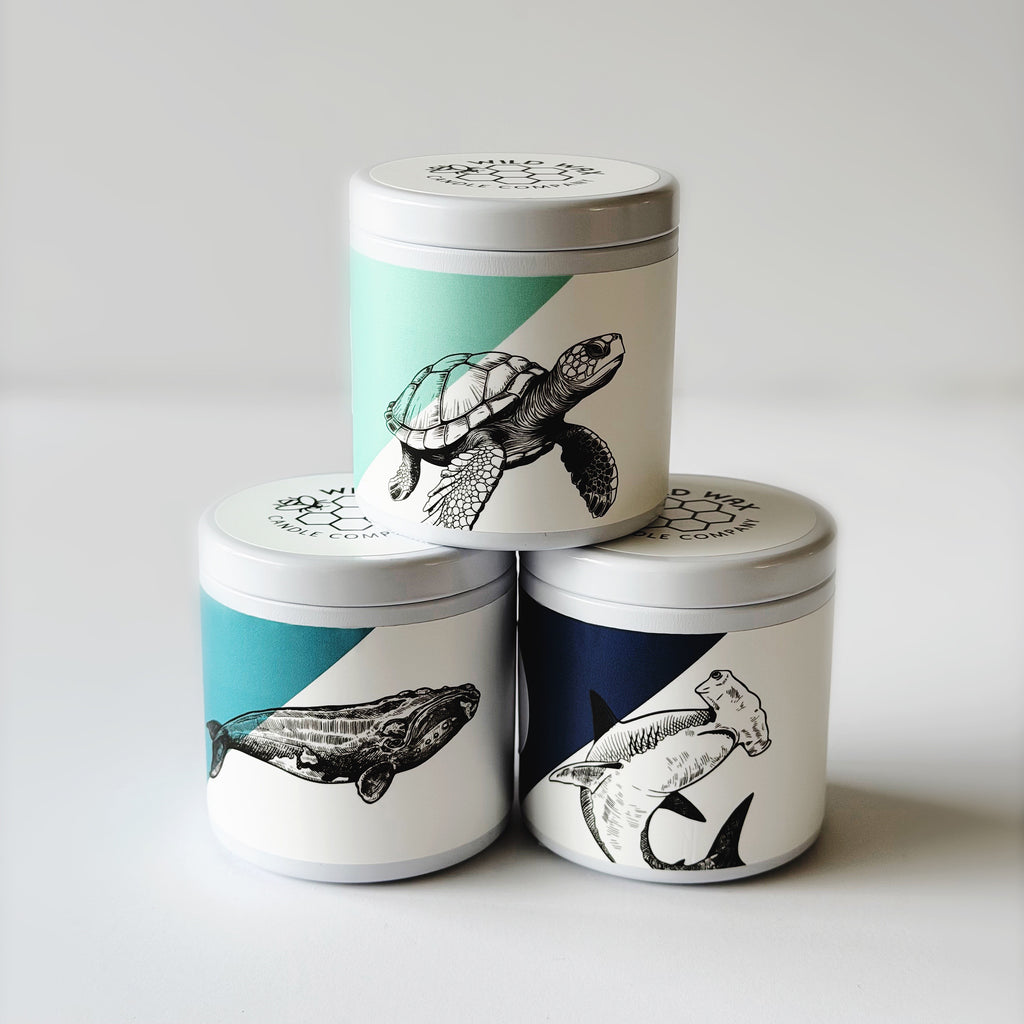 Three small travel size candles with lids and animal designs of a turtle, whale, and shark on the labels.