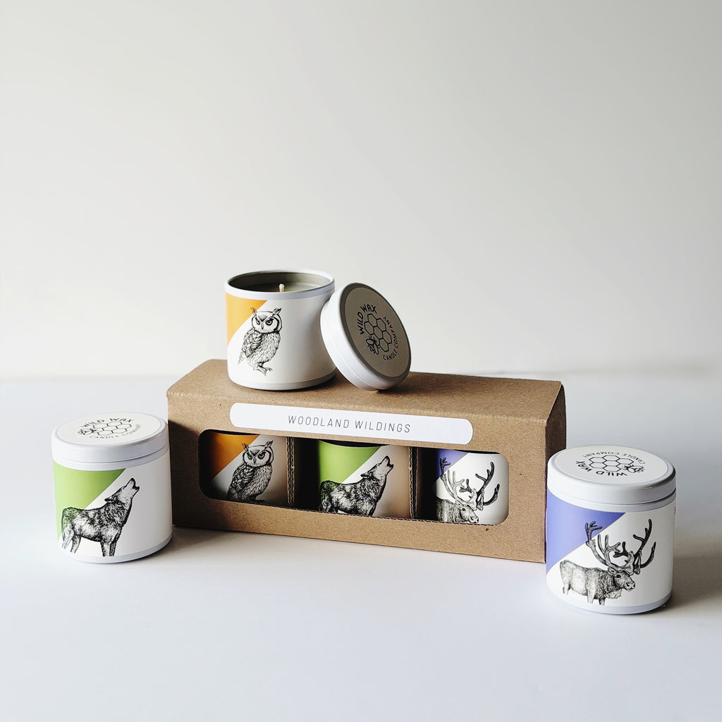 Set of three mini tin candles with animal illustrations and a cardboard packaging box on a white background.